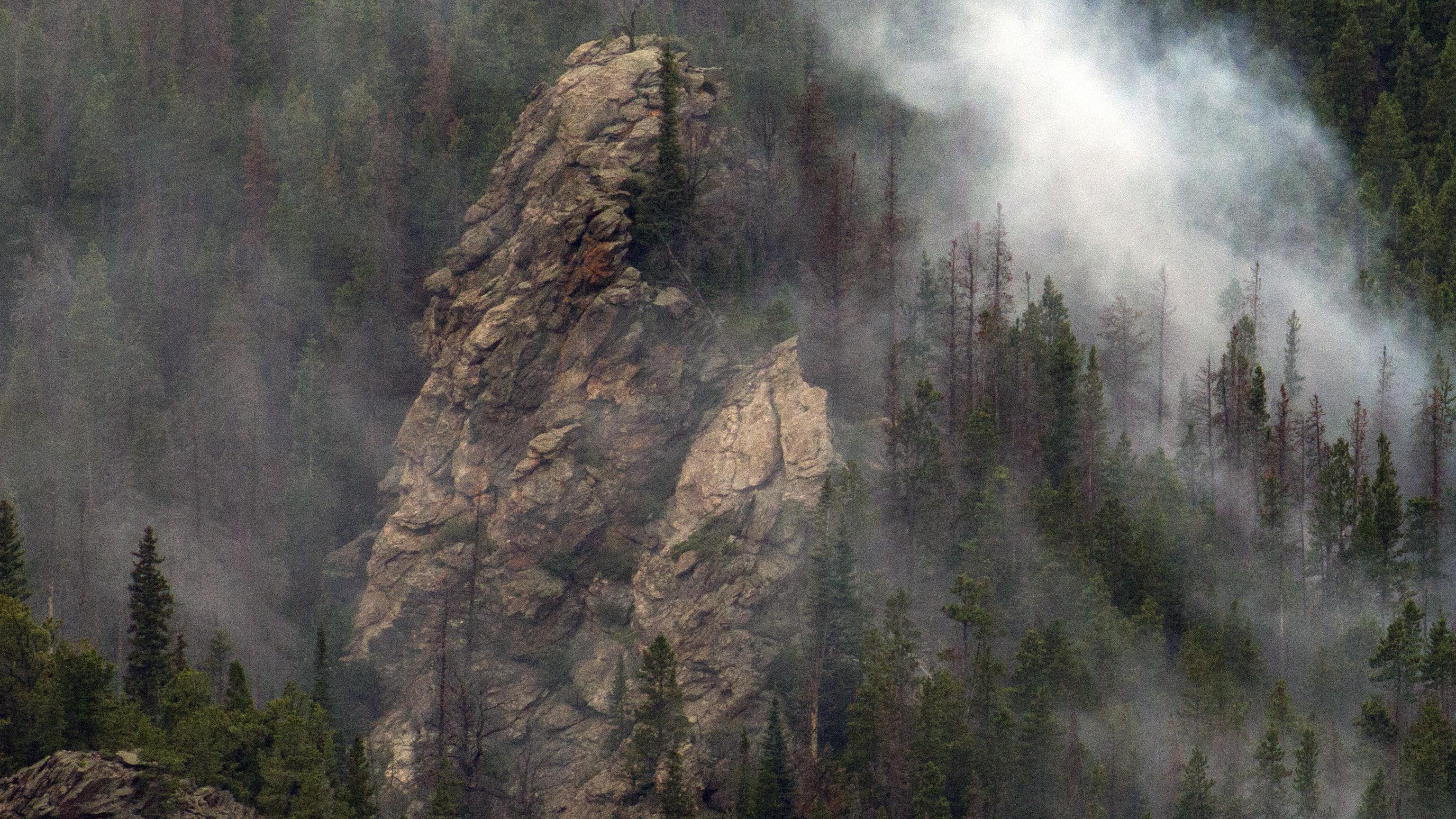 View of smoke rising from a fire that is burning among pine trees.