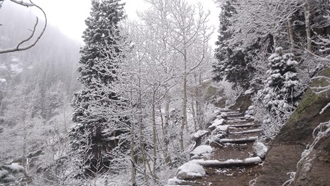 A partially-snow covered trail lined with snow-covered trees