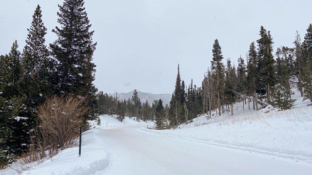 View of a section of Trail Ridge Road covered with snow and ice following a winter storm