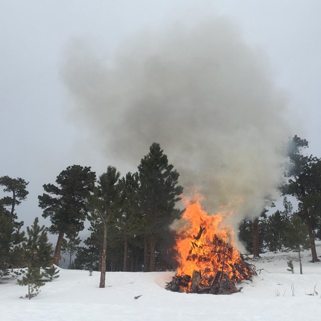 slash pile burning in winter