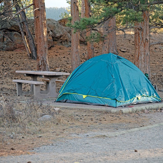 A tent is set up on a tent pad in a campsite