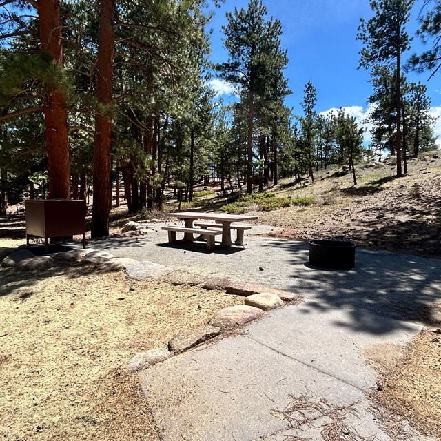 A tent pad and picnic table in a campsite in Moraine Park