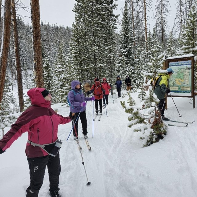 A group of seven people are cross-country skiing in on a trail in the park.