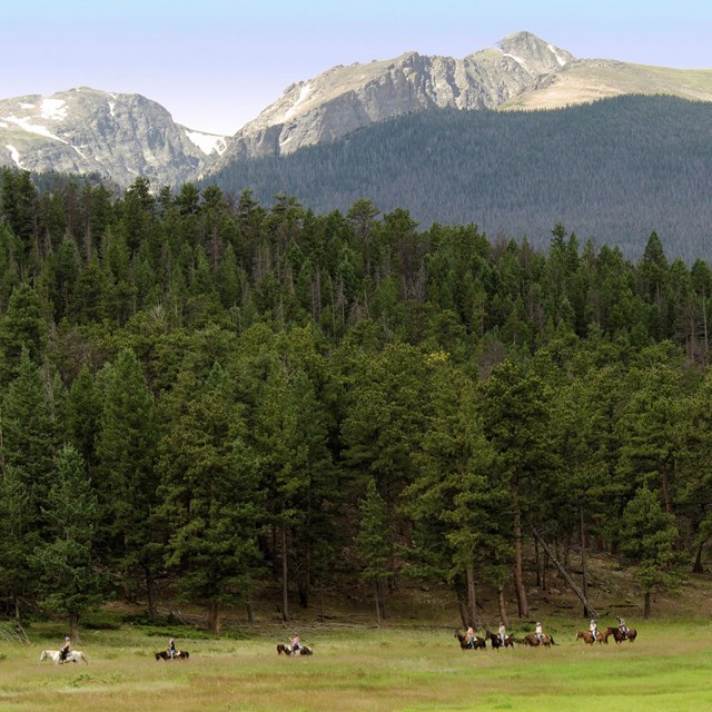 A group is horseback riding in a green meadow in RMNP in early summer