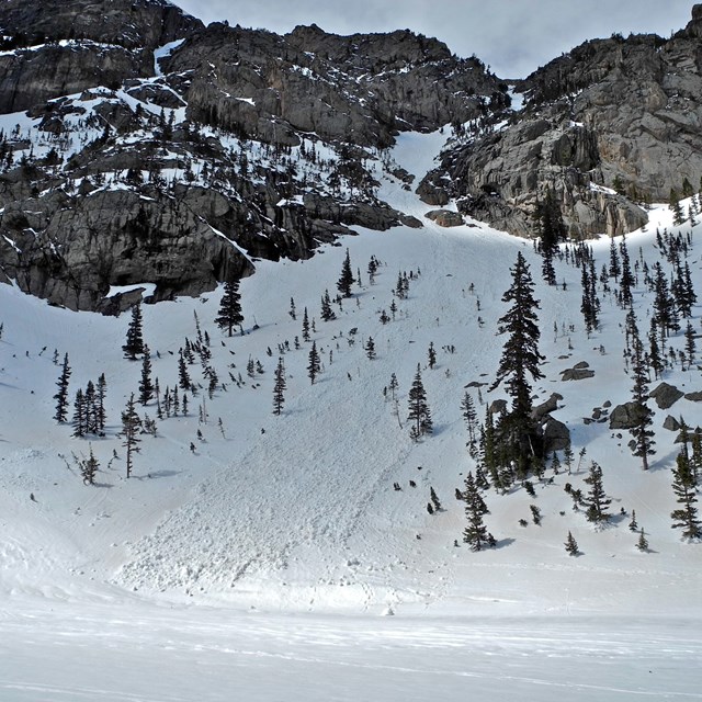 View of an avalanche slide above Dream Lake