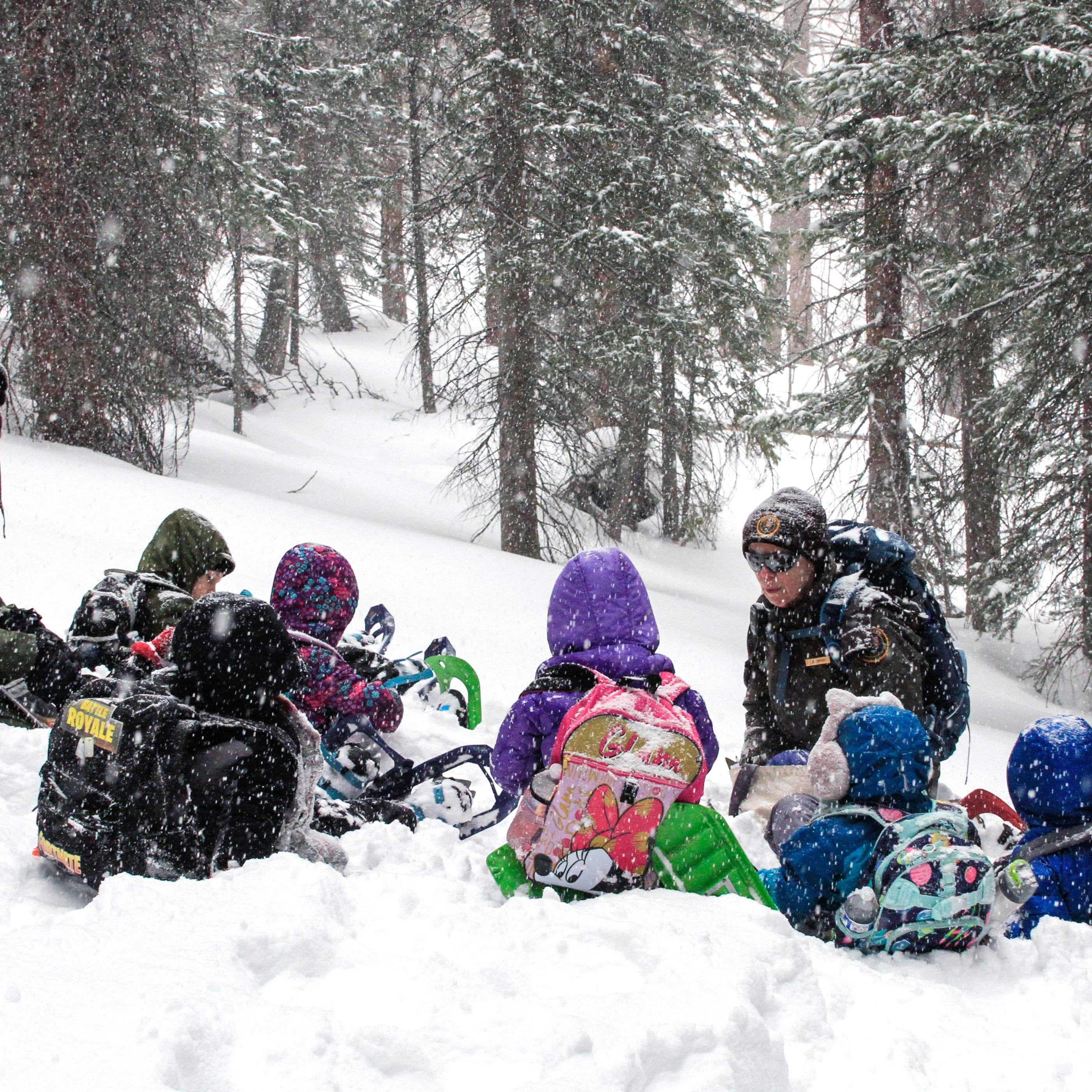 A class of students are participating in a winter environmental education program