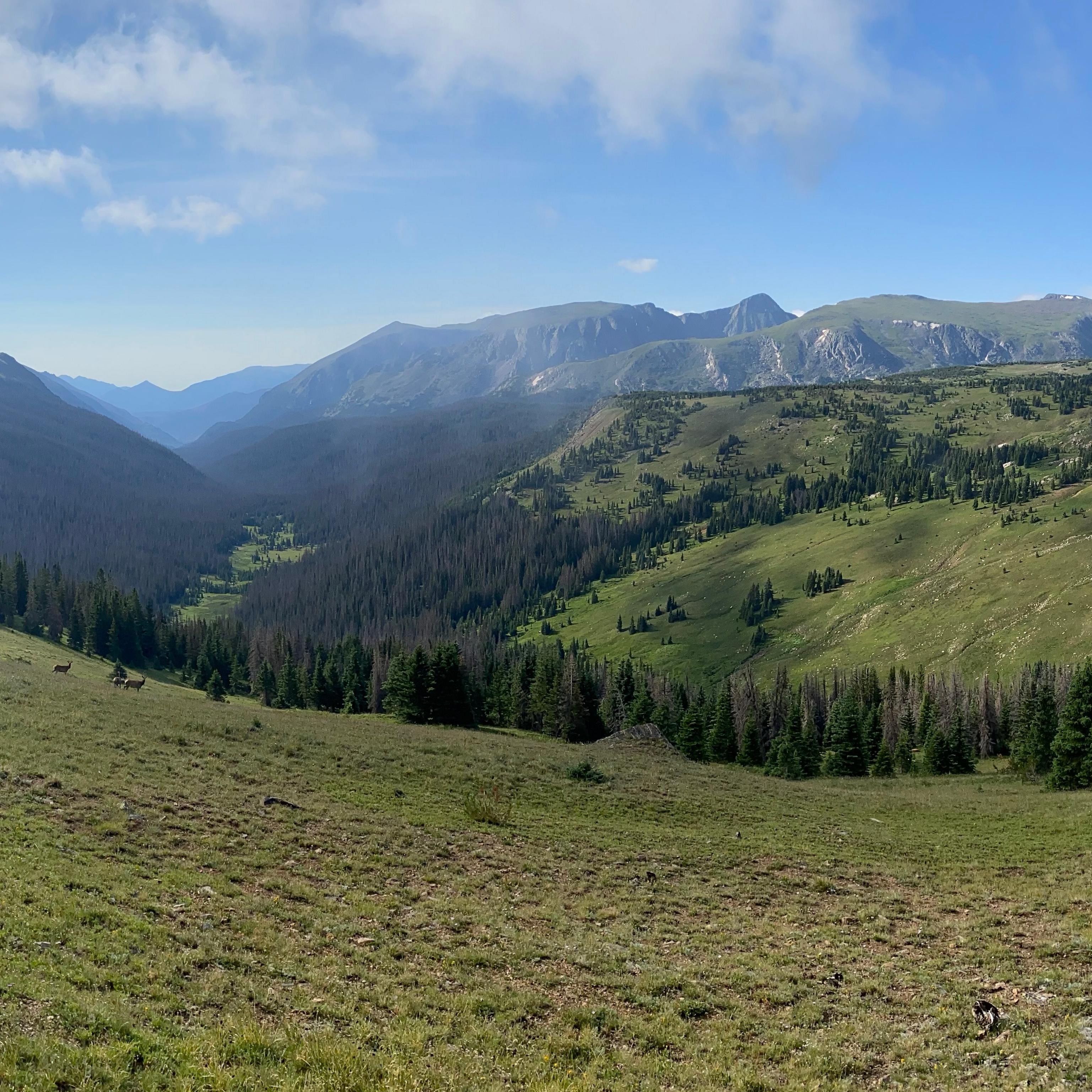 A summer view of the Kawuneeche Valley