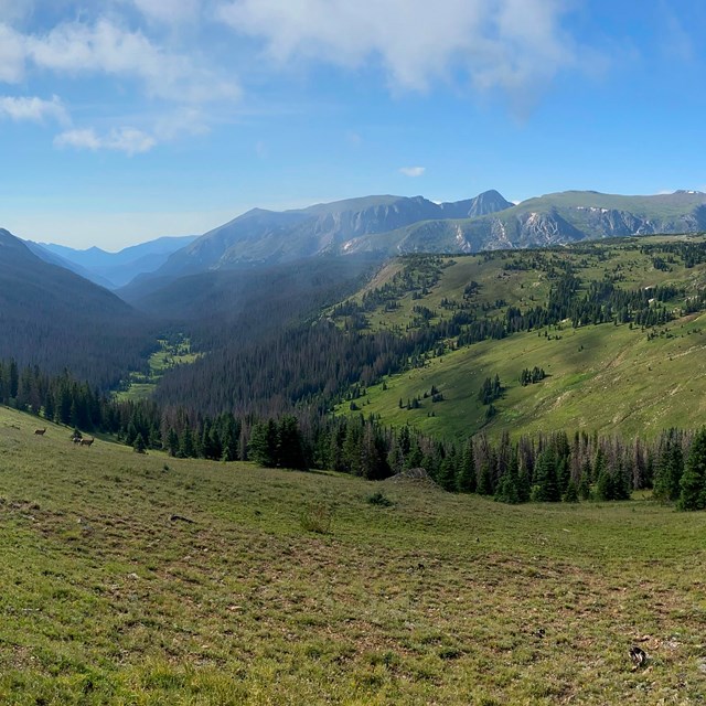 A summer view of the Kawuneeche Valley