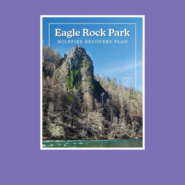 Eagle Rock cover