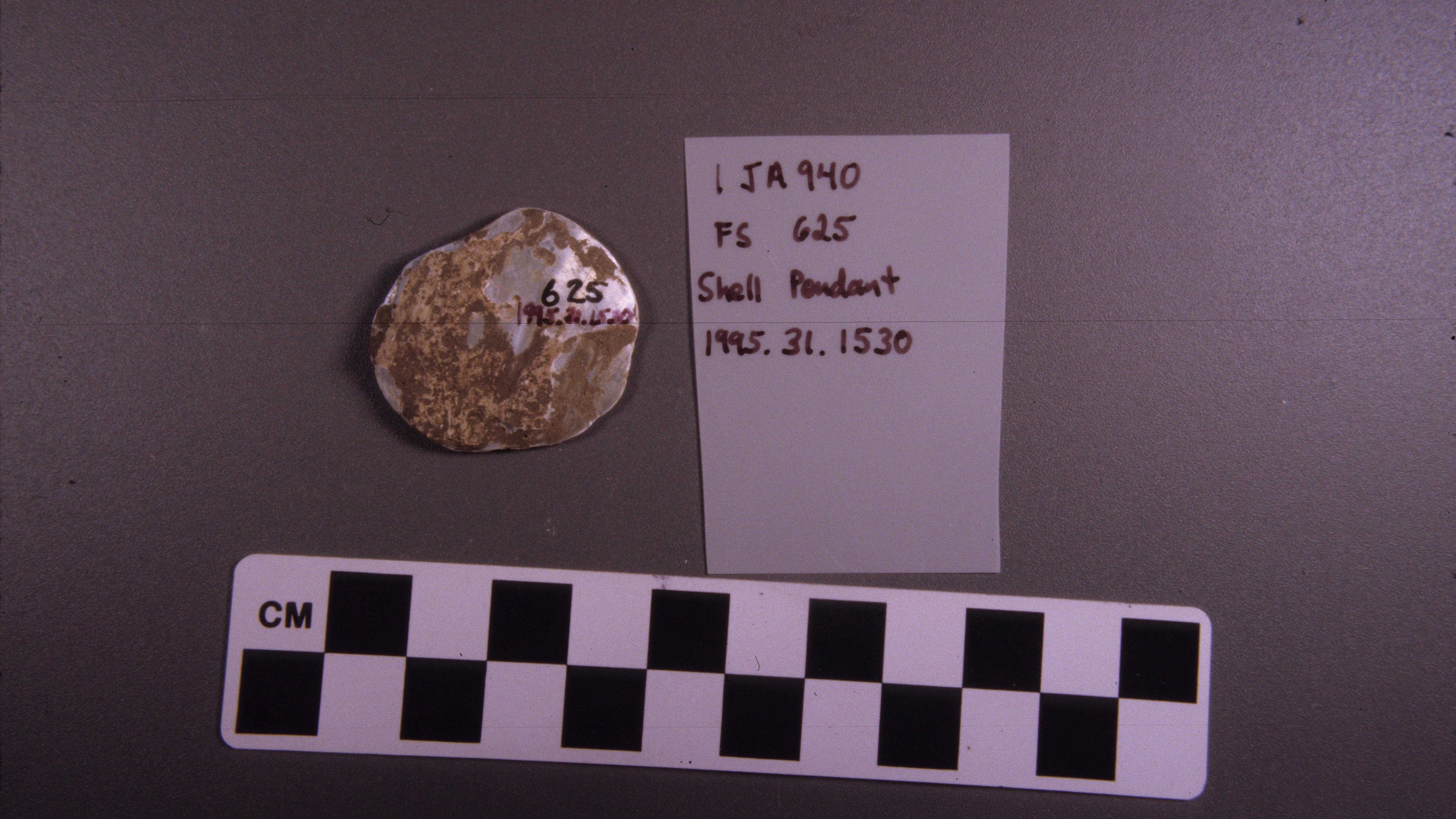Shell pendant