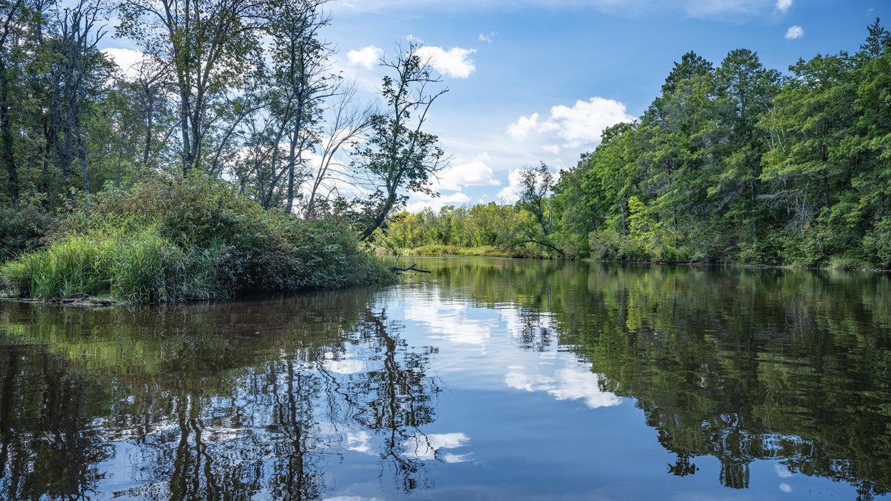 Green trees, blue sky, and small wispy clouds are refelcted over calm water.