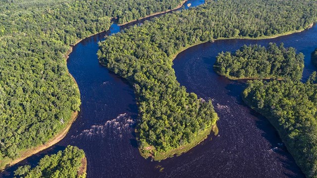 An aerial photo of a braided river through a green forest. Photo by Craig Blacklock.