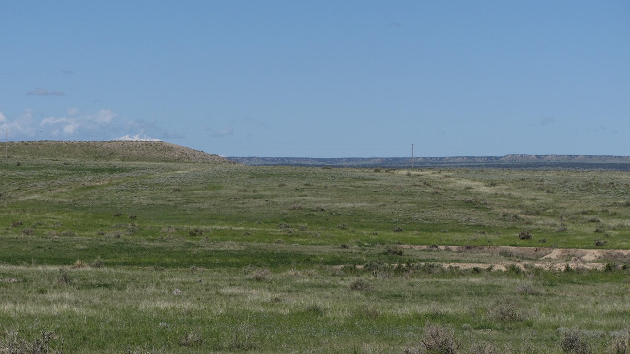 A large, vast grassy landscape.