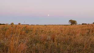 The moon rises over a field of grass with a faint rise and dip of a historical wagon trail.