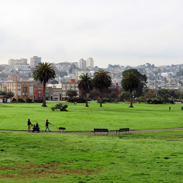People with strollers and dogs on leash walk on paths through the green meadow of Fort Mason.