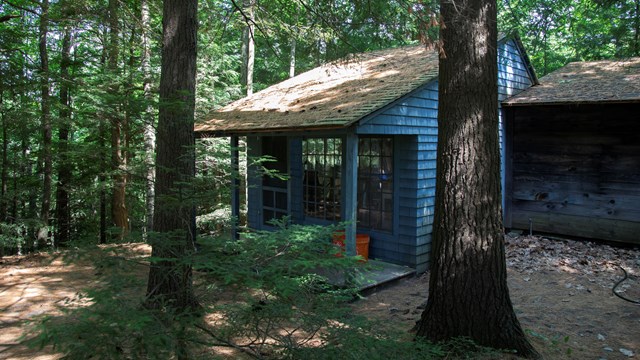 small art studio in woods