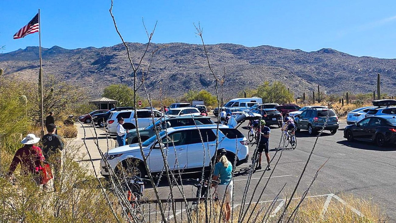 Looking East across the RMD parking lot. Almost every spot full, a line of cars fills the lot.