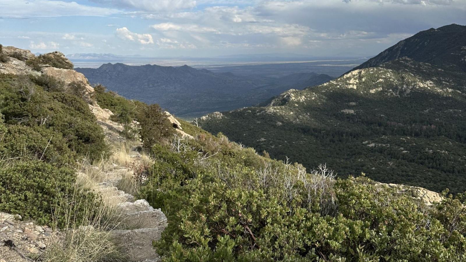 Landscape of a narrow trail through low brush on a hillside. Mountains are visible in the distance.