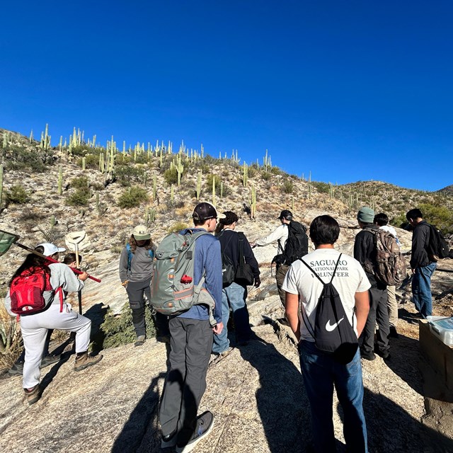 group of young people with scientific gear gather around desert pool with saguaros on hills