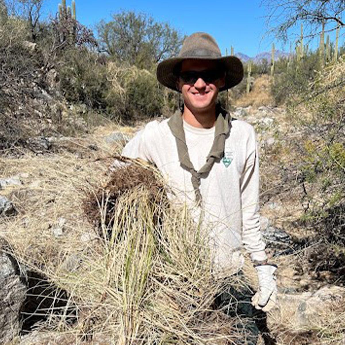 Intern stands in center of photo holding a large bundle of fountain grass, an invasive species.