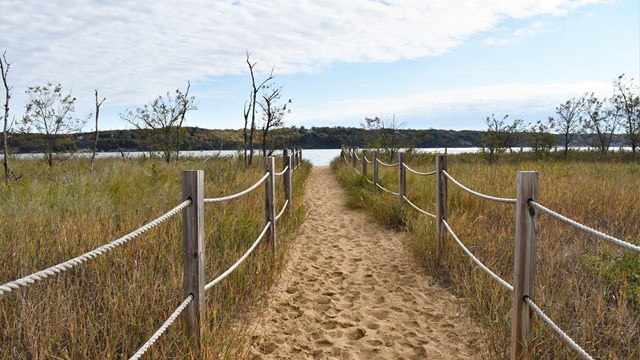 A sandy path through dune grass leads to a beach.