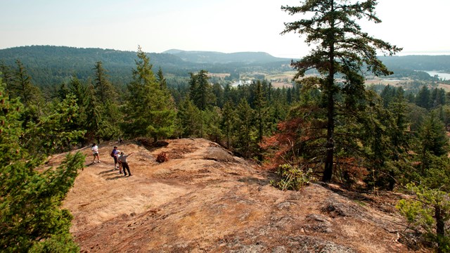 Hikers at an overlook on a hill