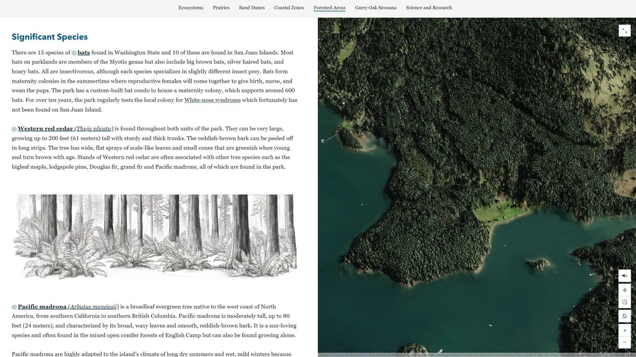 A webpage showing text, a graphic, and a 3D map
