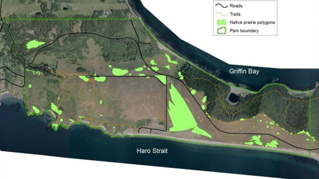 A colorful map of San Juan Island marine shoreline health, with green and red areas of coast.