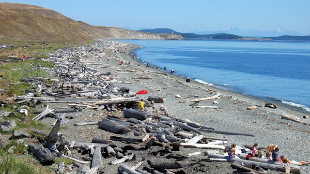 Groups of people walking along a sandy beach