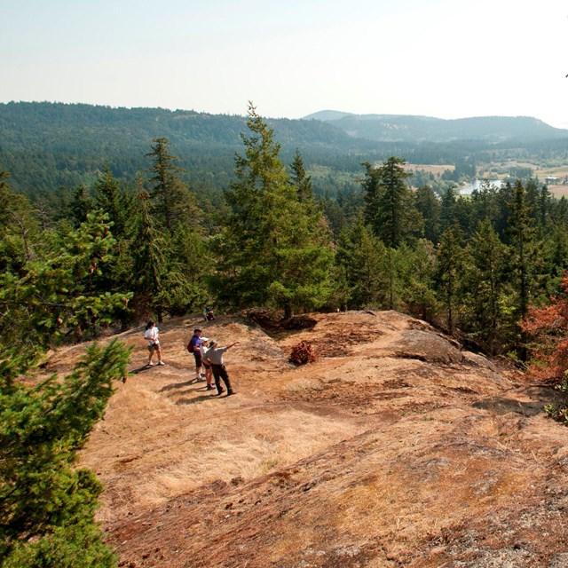 Hikers at an overlook on a hill