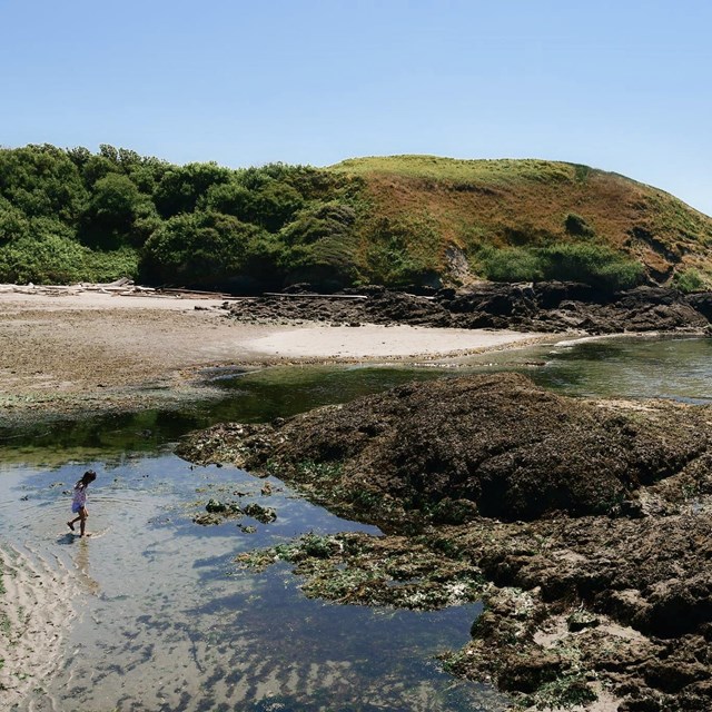 A child walks through a shallow tidepool in a rocky cove