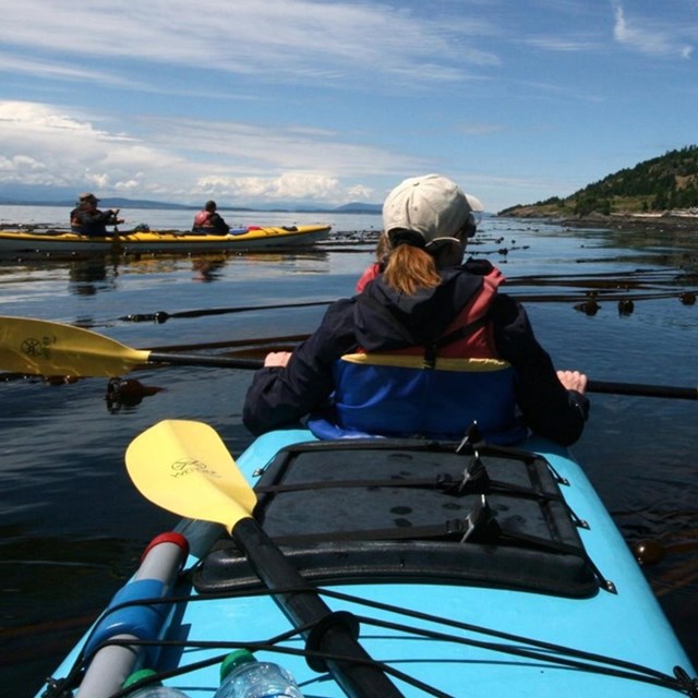 photo of a woman seen from behind kayaking in the ocean