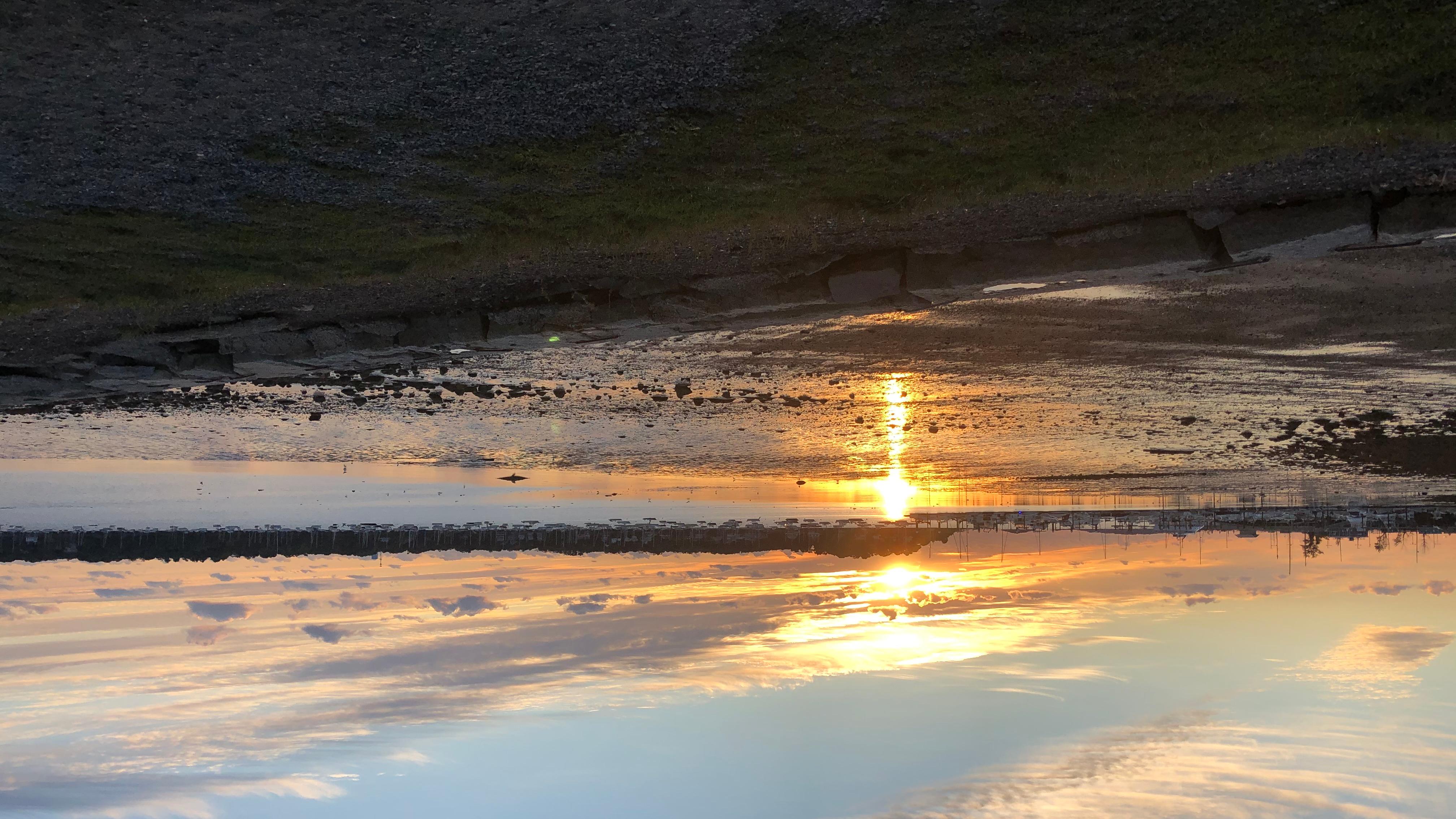yellow sun rises over shallow water in a tidal harbor