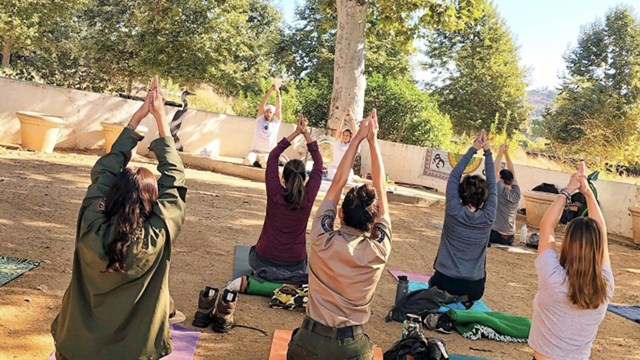 Group of people participating in an outdoor yoga class.