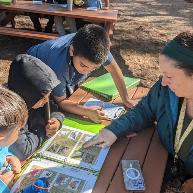 Workshops connect teachers to content and develop confidence with outdoor education. 