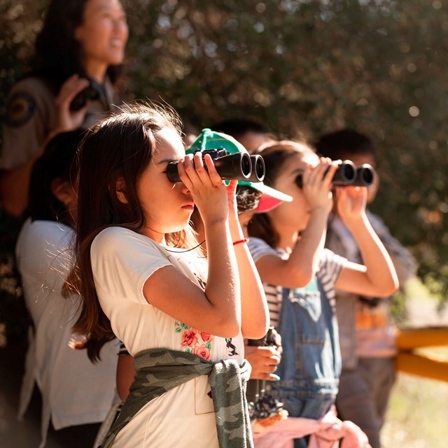 Children looking through binoculars.