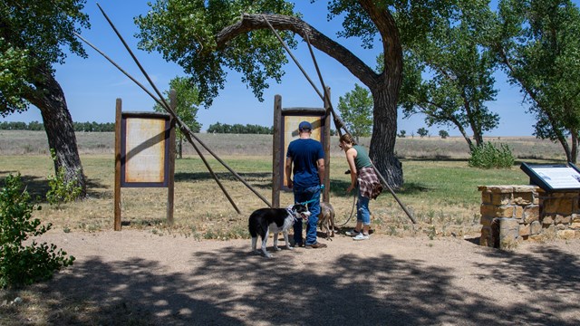 Two visitors and two dogs on leashes stand in the shade of trees and read exhibits. 