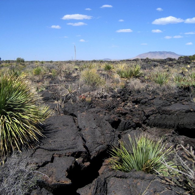 Valley of Fires Recreation Area
