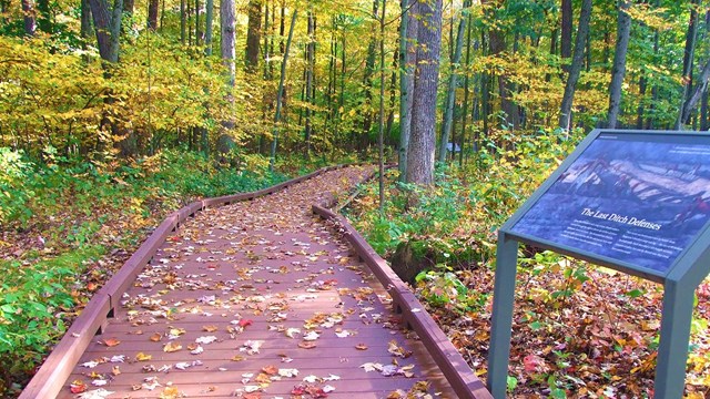 A brown, raised pathway winds amid a lush wooded area. An informational sign sits beside the path.