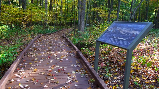 An informational wayside next to a wooden boardwalk going into the woods