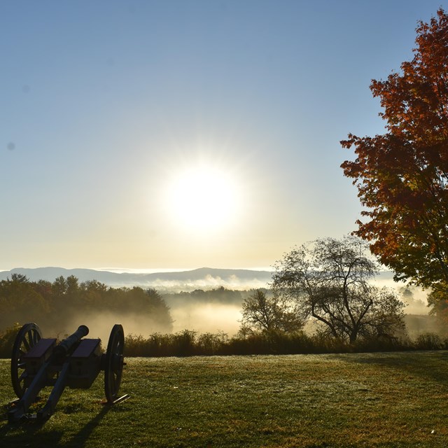 Cannon to the left on a mowed lawn with a tree to the right, sunny day blue sky