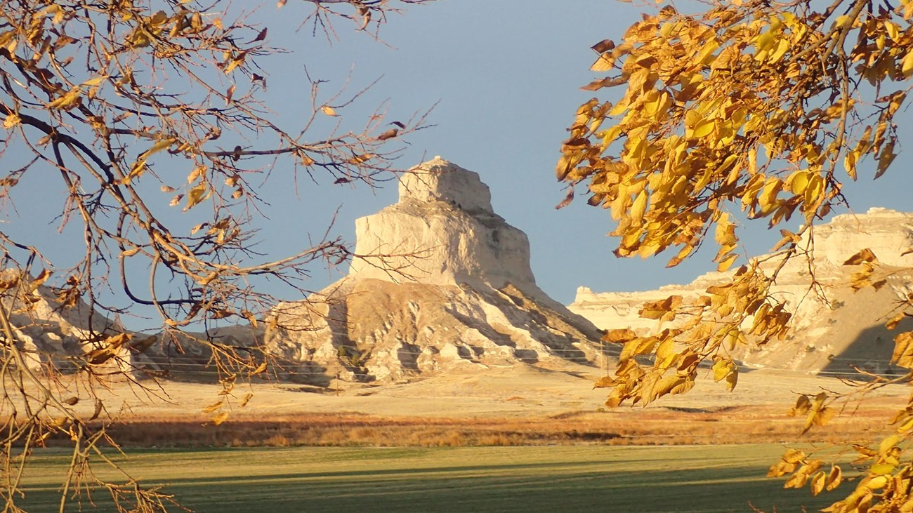 A gap between sandstone bluffs looms above a prairie decorated with sunflowers. 