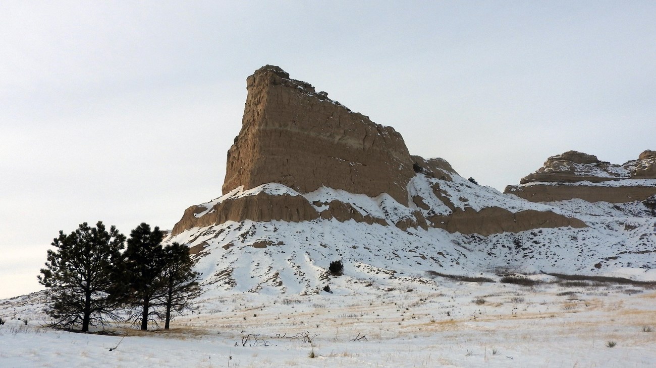 Snow covers a sandstone bluff with a cluster of pine trees at its base. 