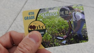 A hand holds a colorful, plastic pass card.