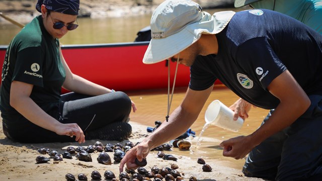 Two people kneel on a river bank and look at mussels