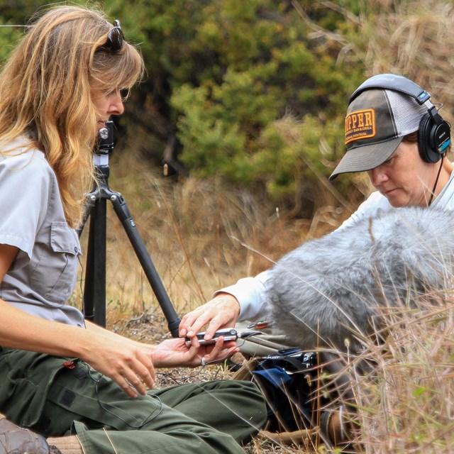 two women sit in a grassy field with audio recording equipment