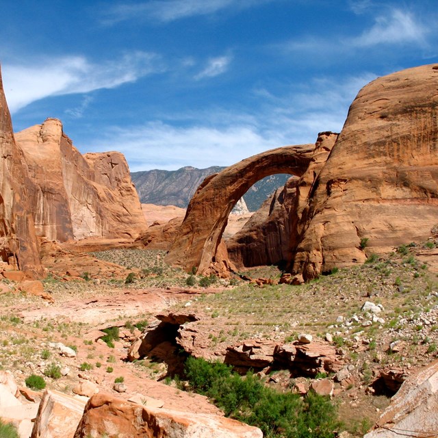 Rock arch formation in a redrock canyon with mountains in the distance.