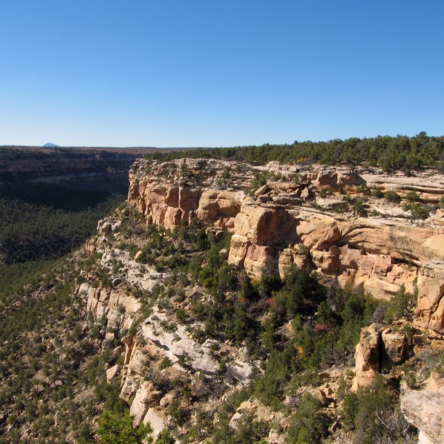 View of a forested canyon with dwellings built into bare sections of rocky cliff in the foreground