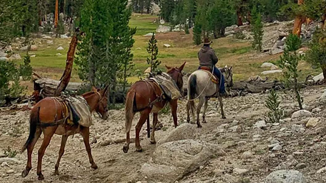 Grazing Restrictions