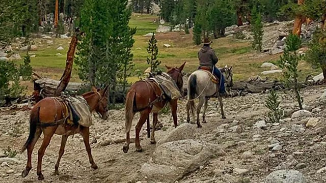 Grazing Restrictions
